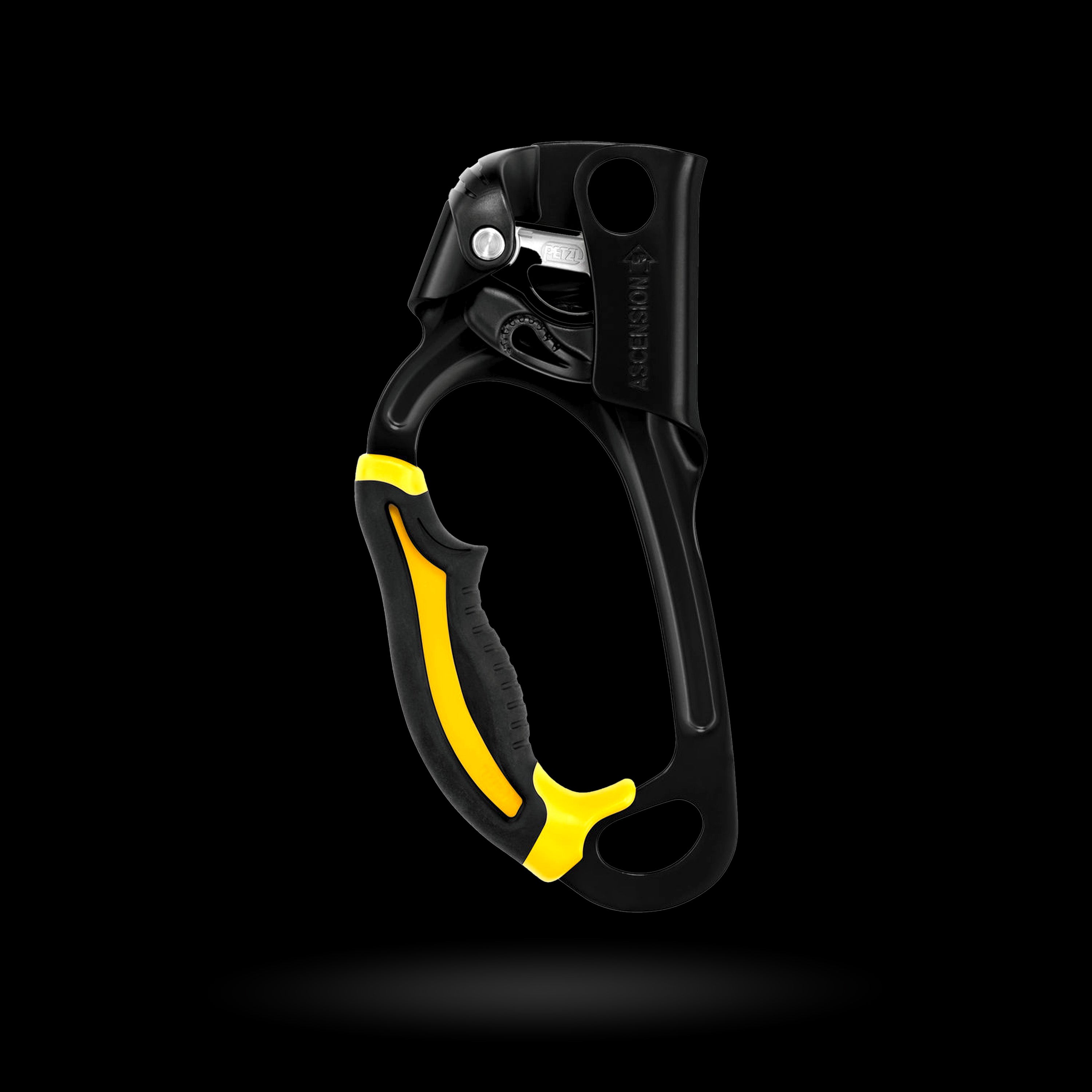 Petzl - ASCENSION