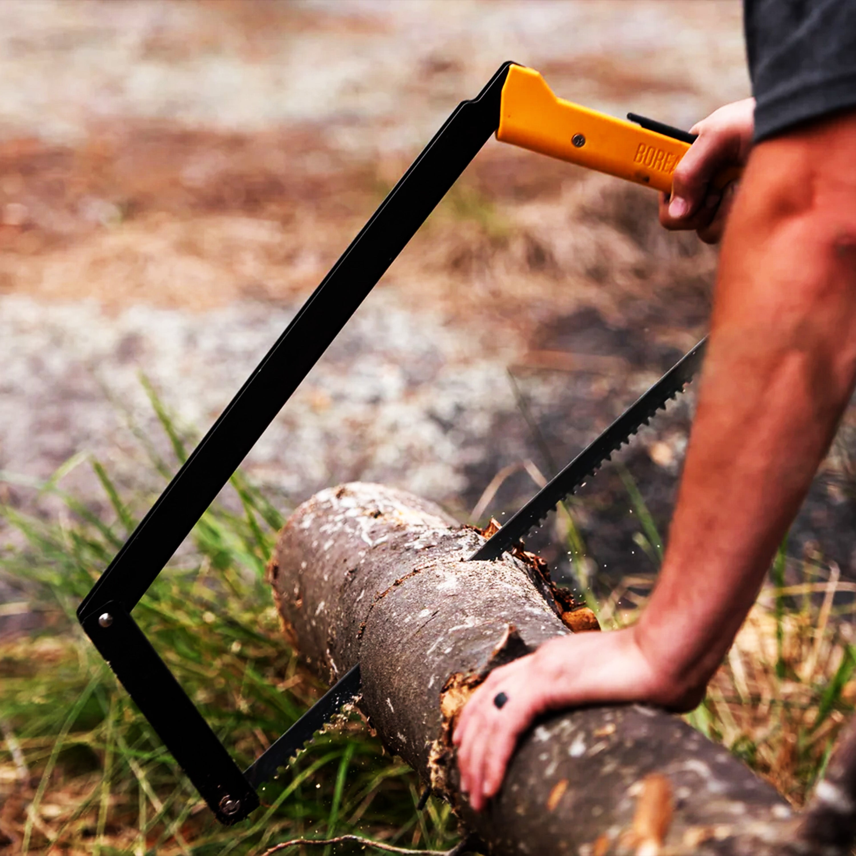 AGAWA - BOREAL24 Folding Saw