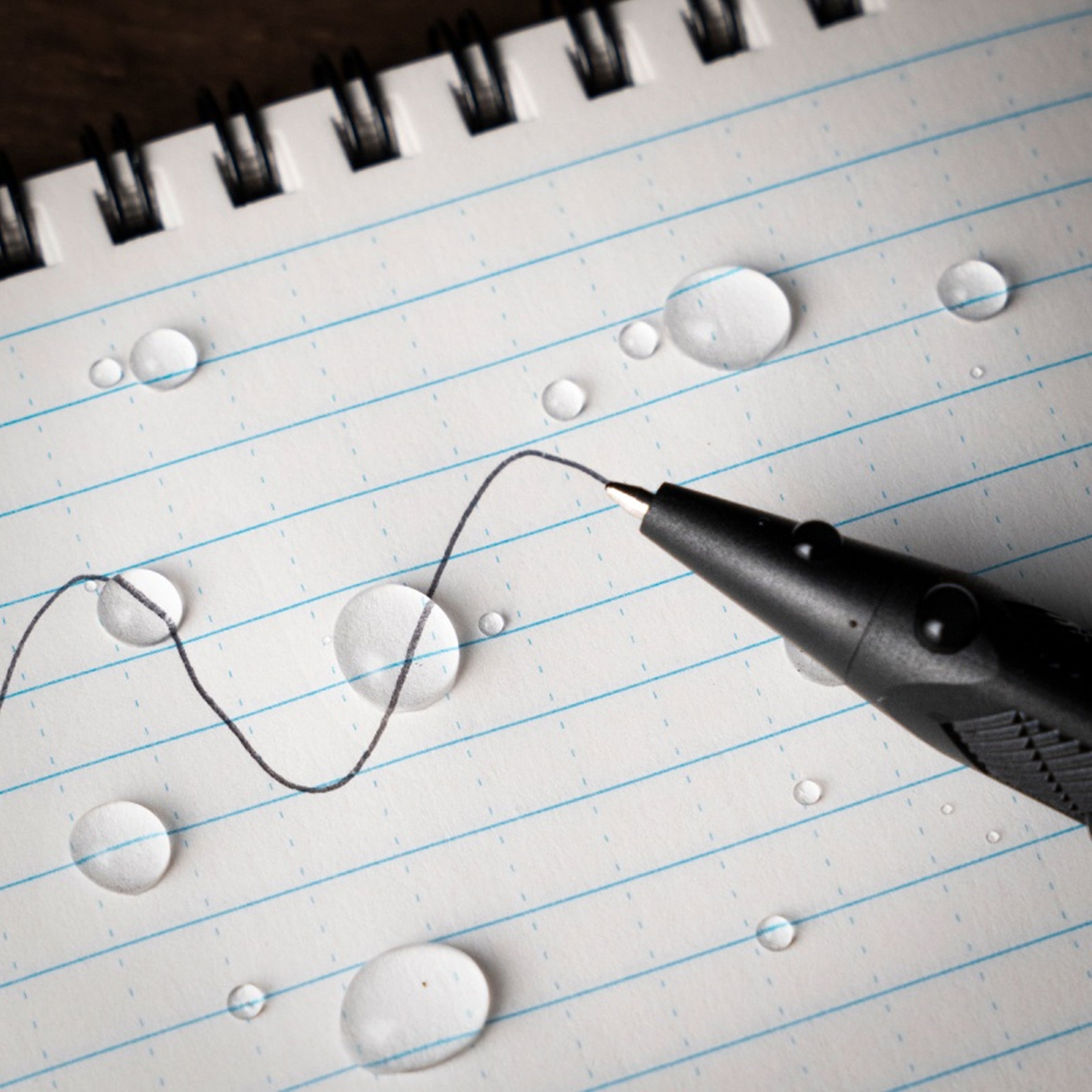 Rite in the Rain - Click Action Pen