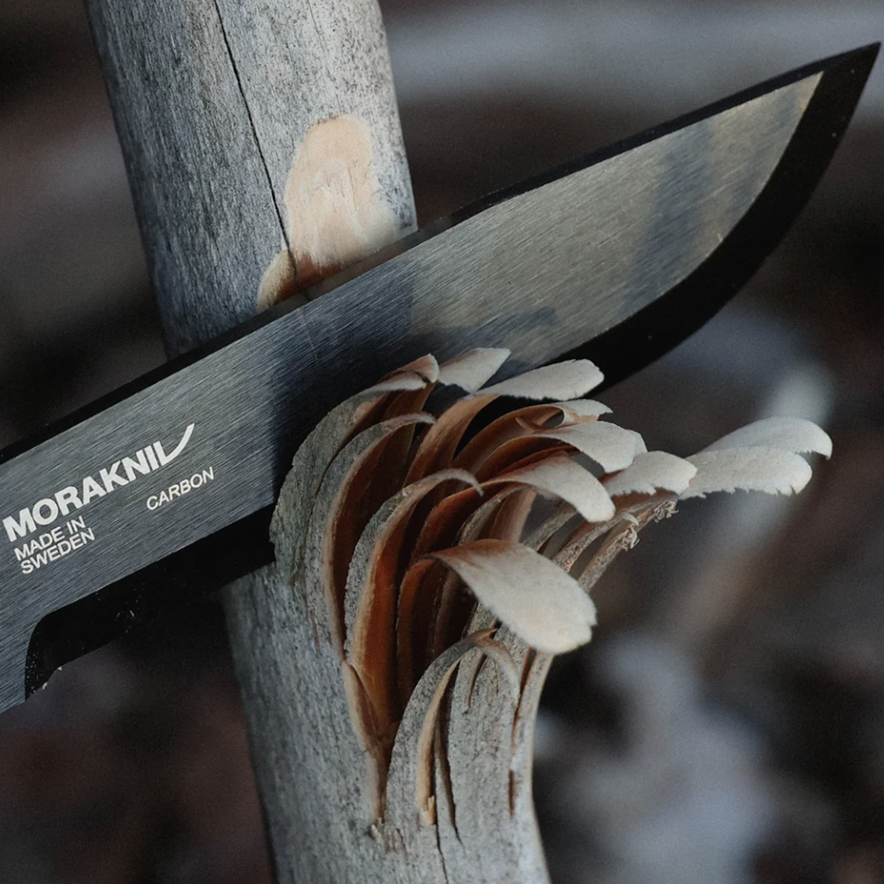 Morakniv - Garberg BlackBlade (C)