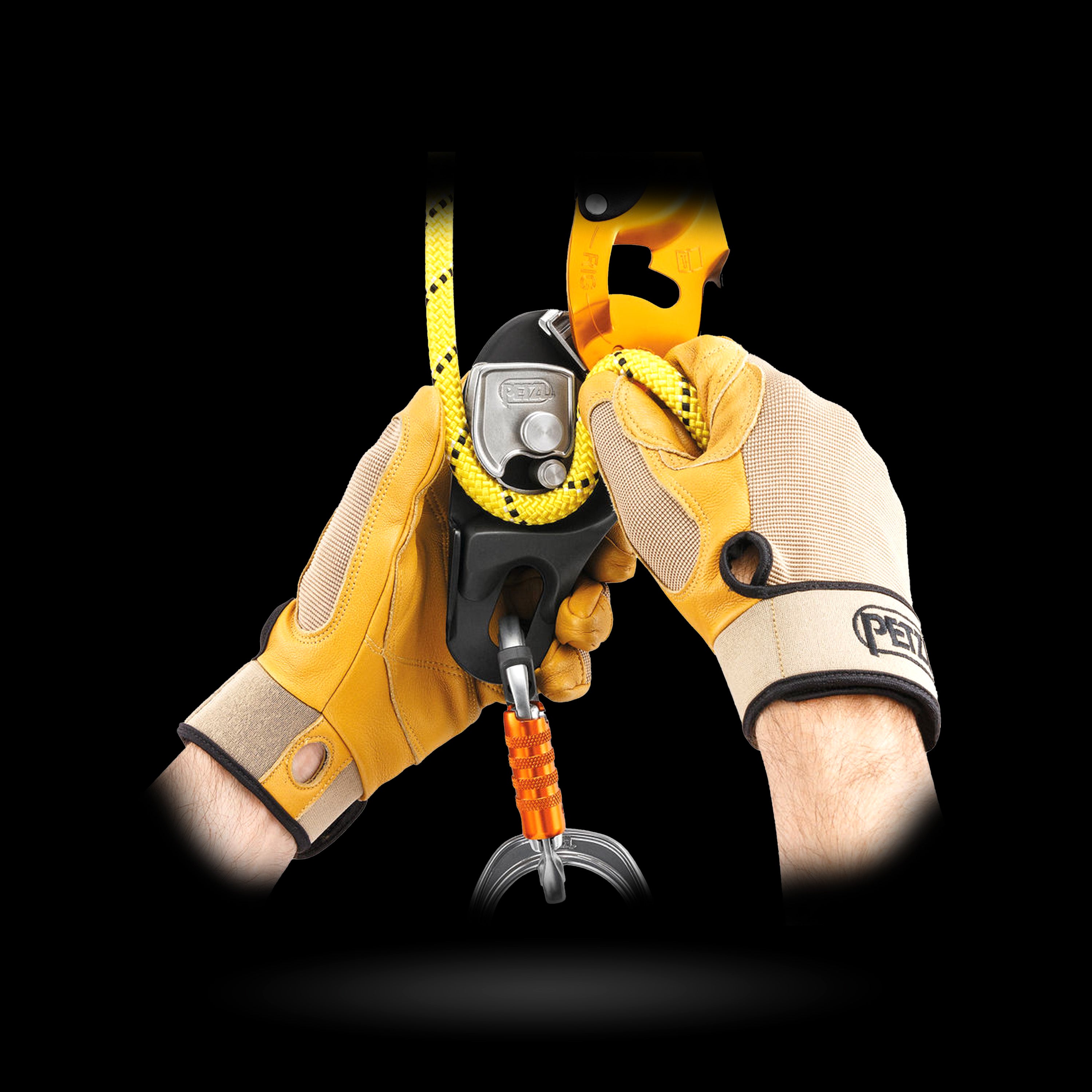 Petzl - RIG® Descender