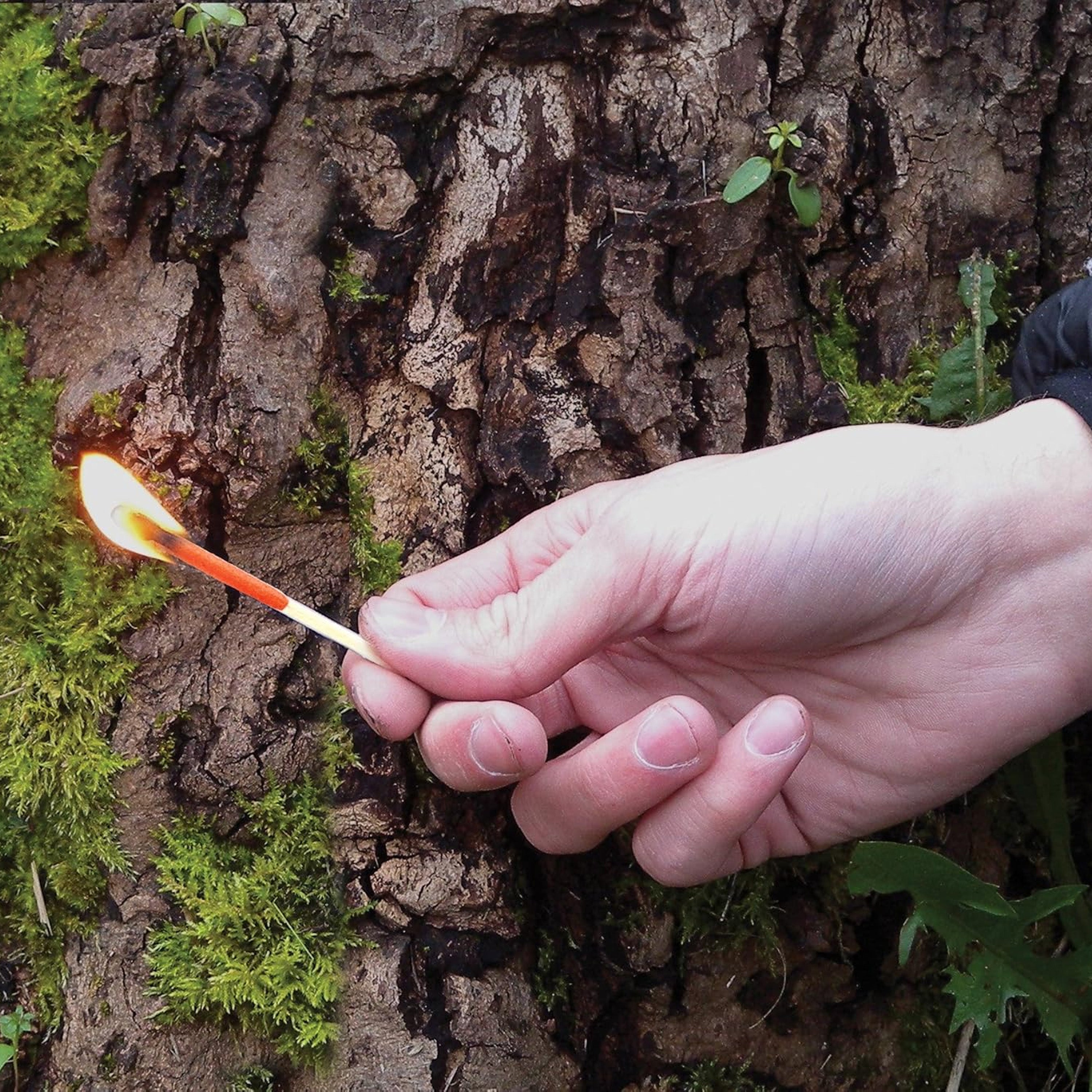 UCO - Stormproof Match Kit