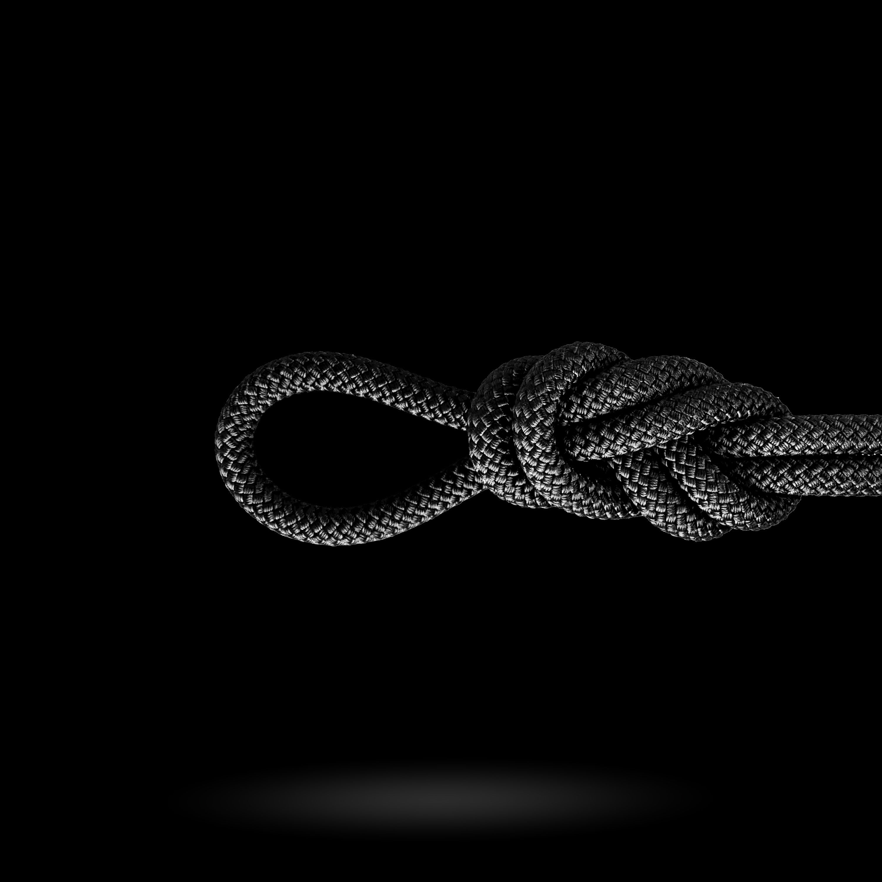 Petzl - VECTOR 12.5 mm Rope